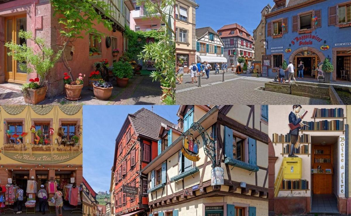 Le Studio Stanislas Colmar Exterior photo